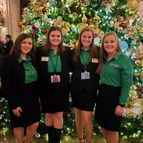 livestock ambassadors