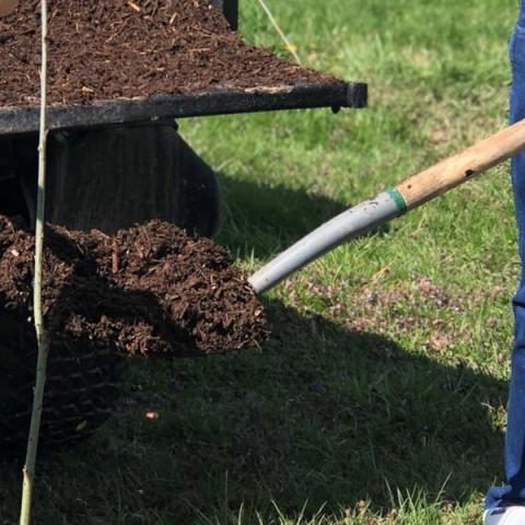 kids shoveling mulch