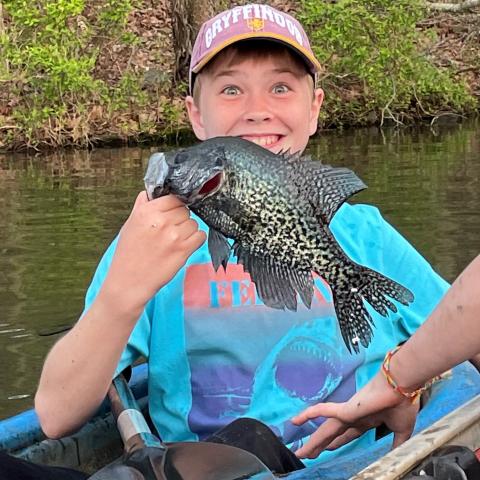holding up crappie
