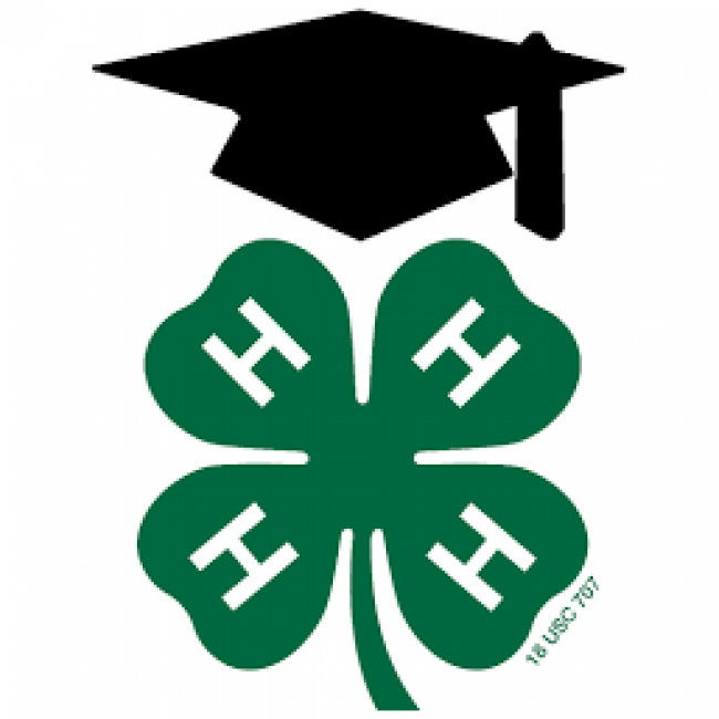 Collegiate 4-H logo