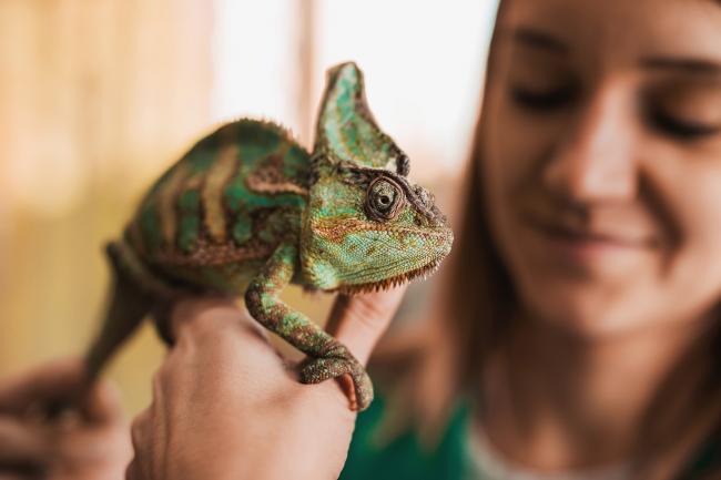 woman holding a pet iguana