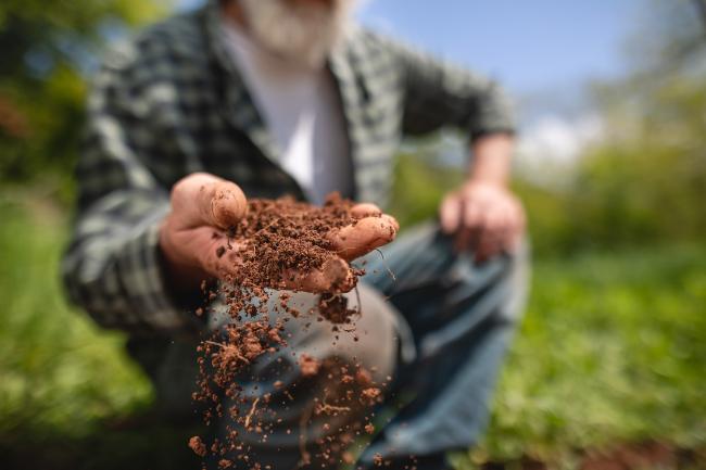 man holding soil