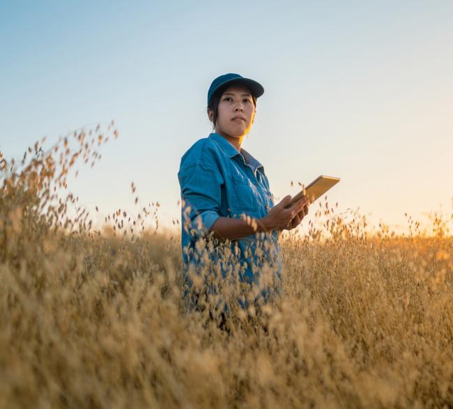 woman in field holding tablet